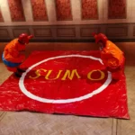 Sumoworstelen Sumo-Oranje - Attractieverhuur Olivier